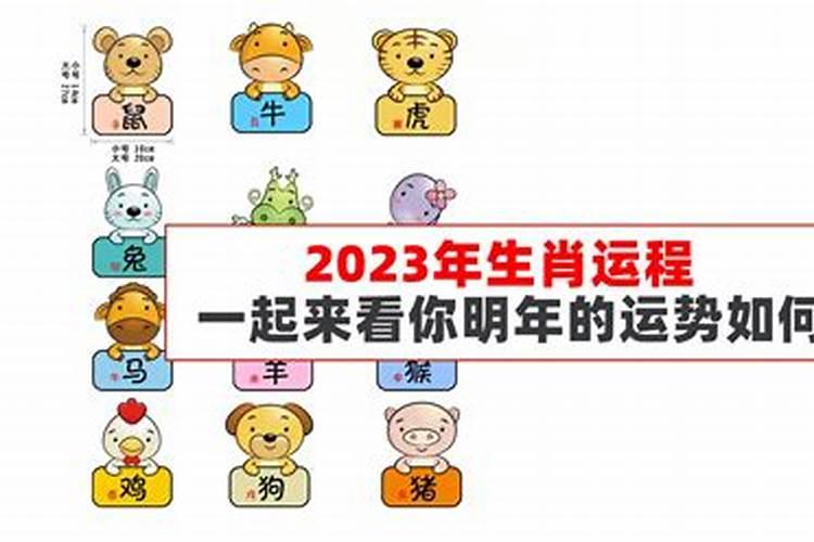 2023年生肖运势测算