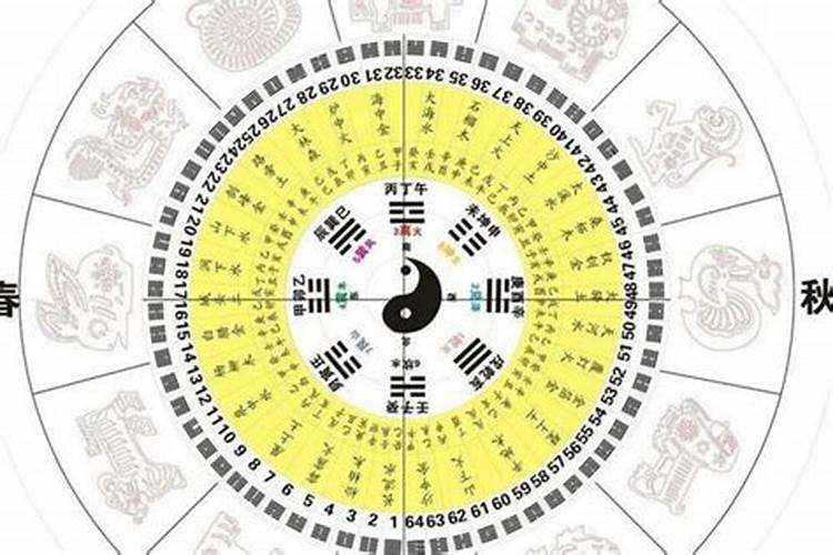 阳历11月19日是什么星座的