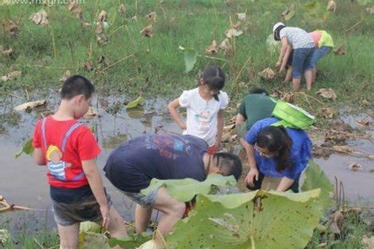 梦见别人下水捉鱼什么预兆