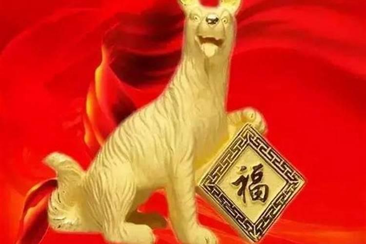 猪年属狗运势[year]年运势