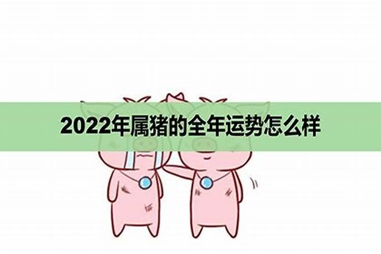 2022年属猪人运势及运程详解