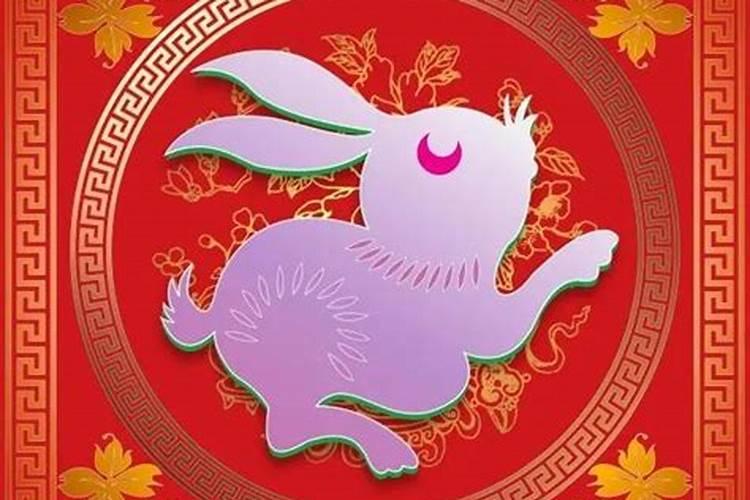 属龙的今年兔运程如何