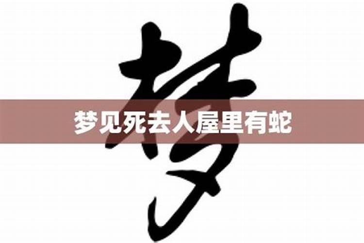 梦见已故人的房间有黑蛇什么意思