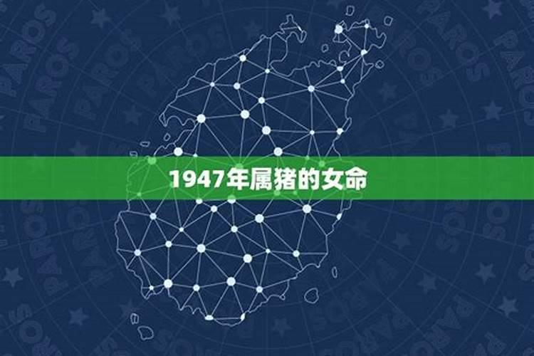 1947年属猪的女命到2020的命运