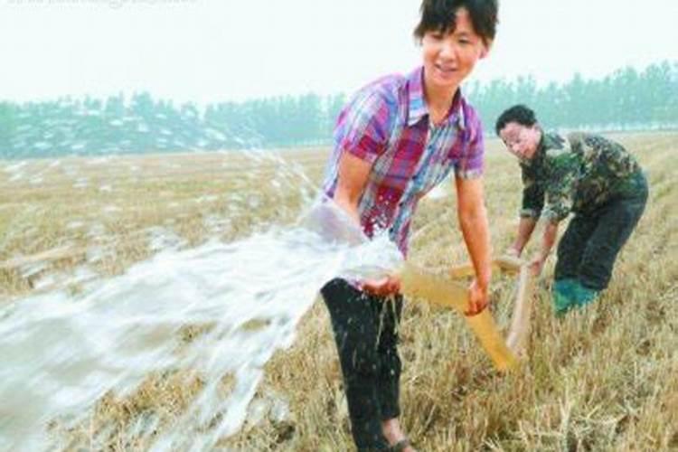 梦见别人把韭菜种在自己地里什么意思