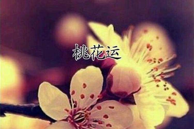 怎么斩自己烂桃花