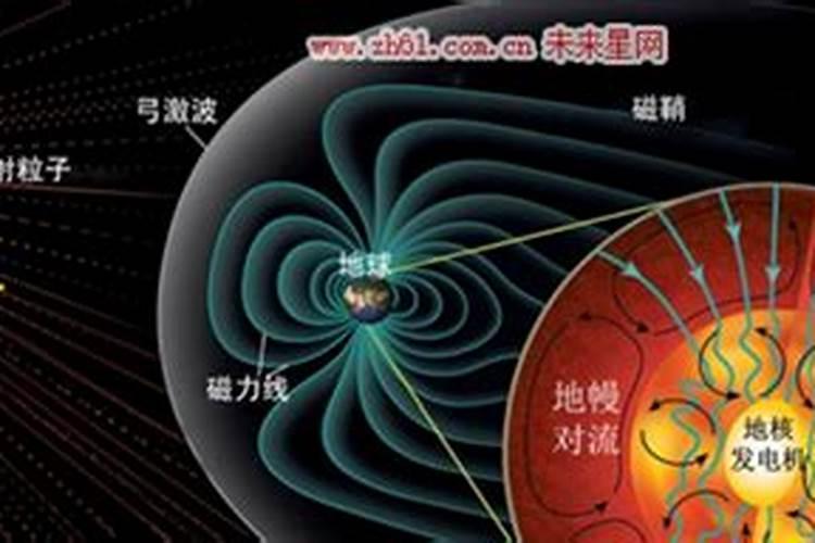 梦见蜈蚣被自己打死了变成蛇了