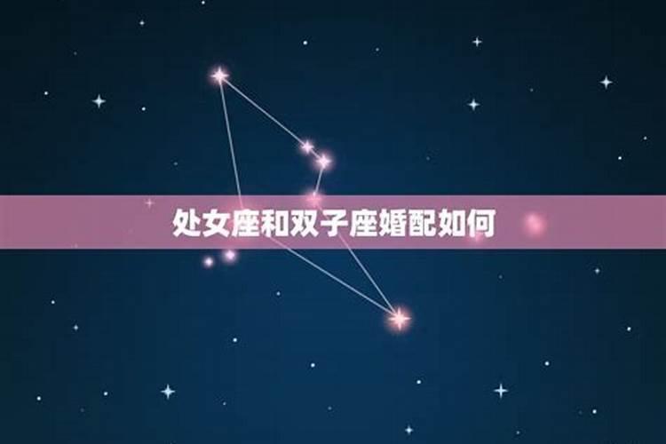 梦见大蟒蛇身子断了什么意思周公解梦