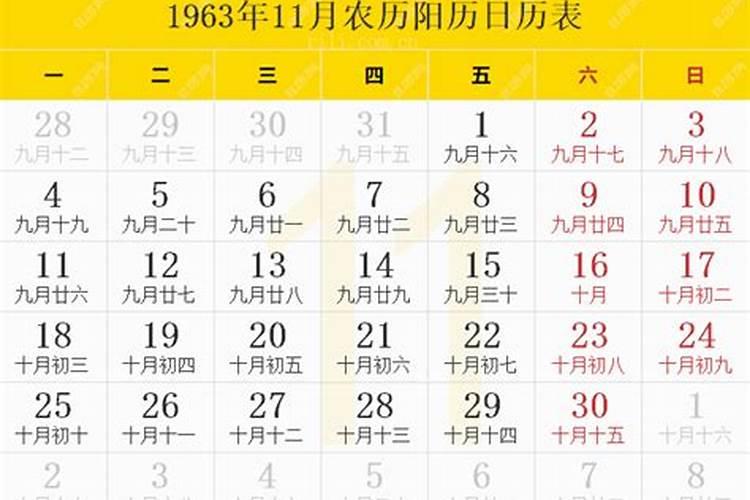 属鼠人2024年下半年运势