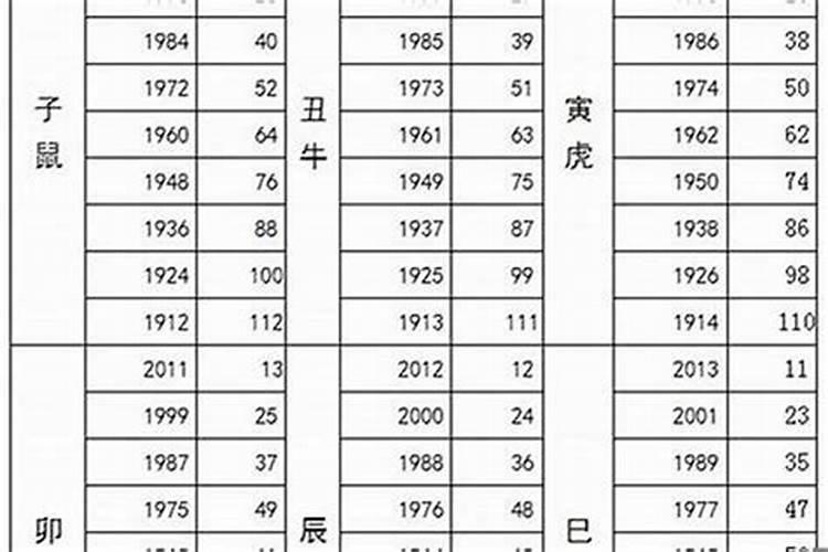 属猪48年