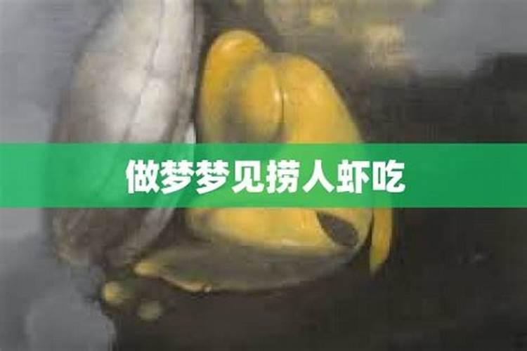 做梦梦见捞虾是什么意思