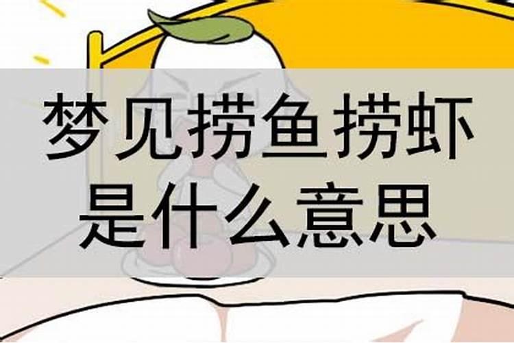 梦见捞虾是什么意思有什么预兆