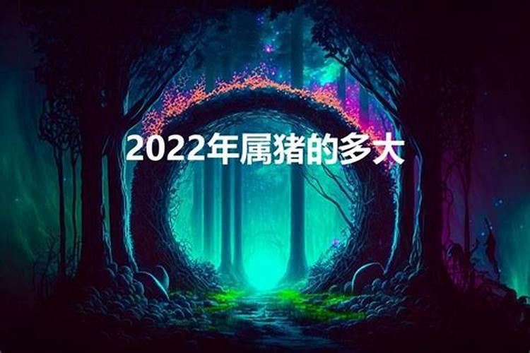 2022年属猪的本命年好不好