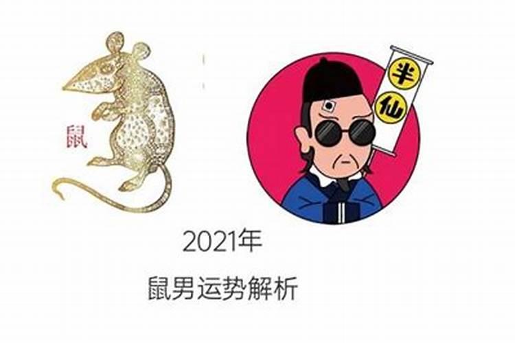 八四年的鼠在2021年的运势男性