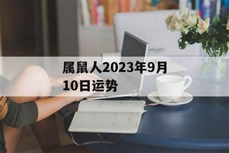 己巳2023年癸卯流年运势