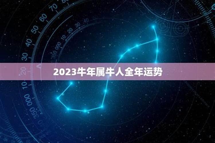 2023属牛人