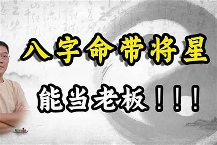 生肖属兔的2023年运程如何