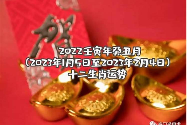 癸丑日2020辛丑年运势