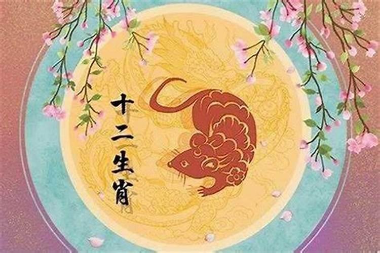 属鼠的今年多大