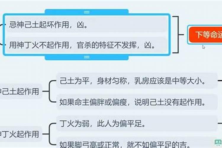 八字相同命不同案例