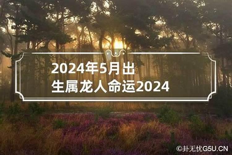 属鸡2024年犯太岁怎样化解