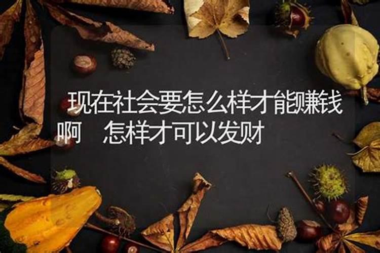 精是什么生肖代号的动物呢