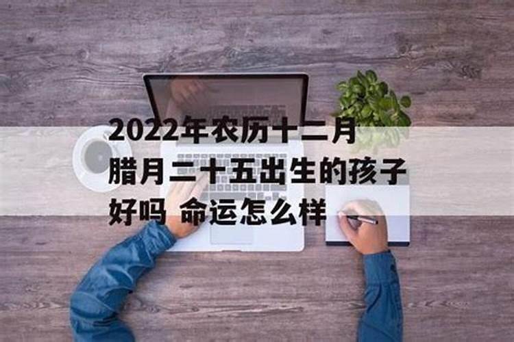 2021年农历十二月二十九日生宝宝好不好呢