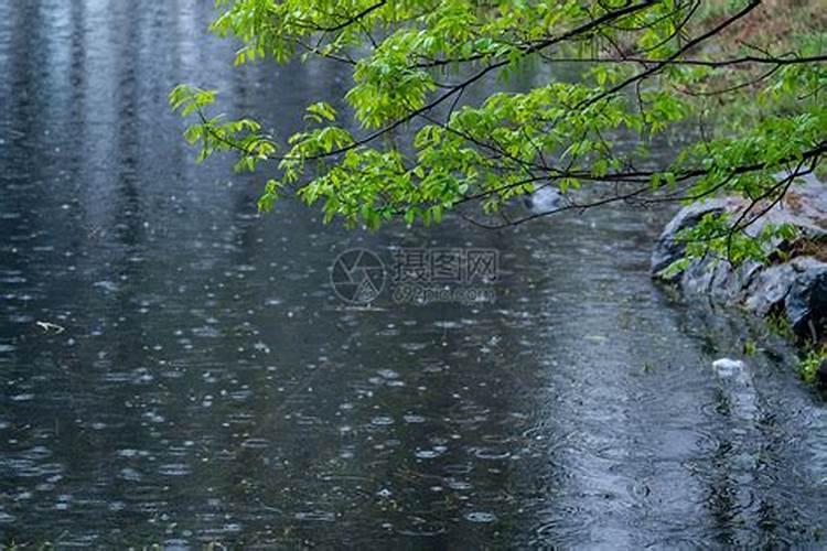 清明时节雨纷纷的清明什么意思