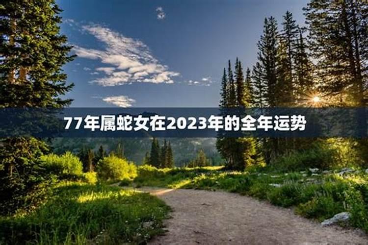 77年属蛇女在2023年的运势和财