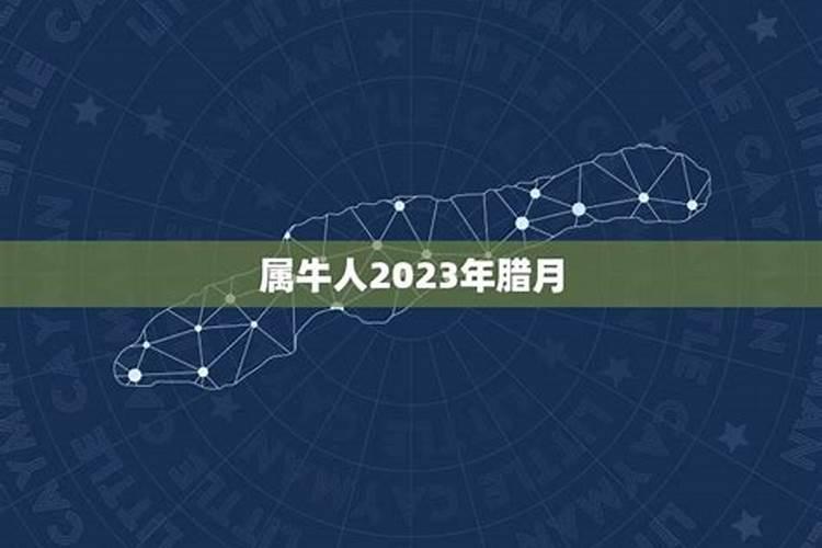 83年生人今年运势