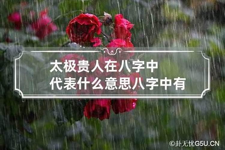 八字中的太极点