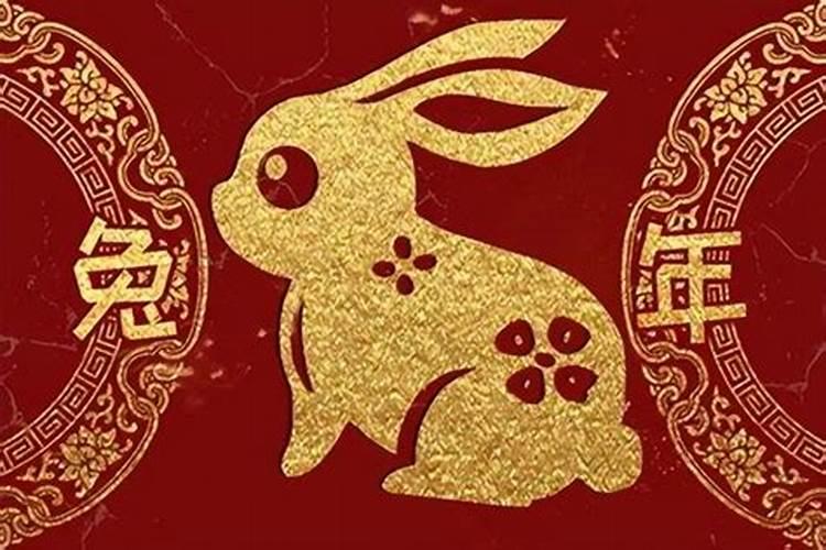 属兔的,今年多少岁