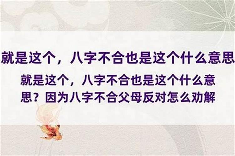 父母算命八字不合