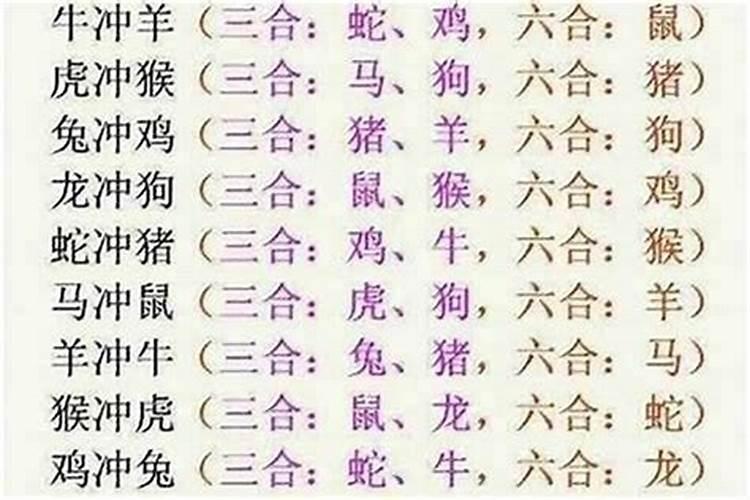 牛和什么八字不合