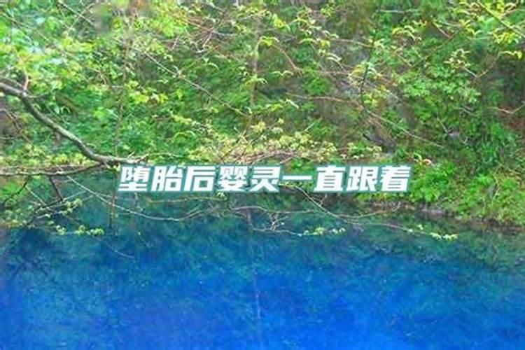 中山市哪里风水对学业有帮助