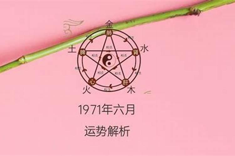 82年属狗和87年属兔命合不合