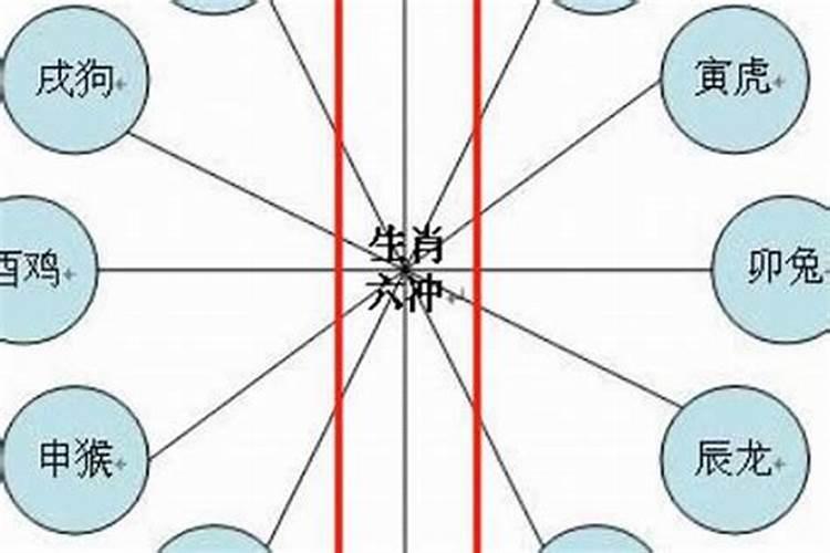 属狗和属鼠千万不能在一起