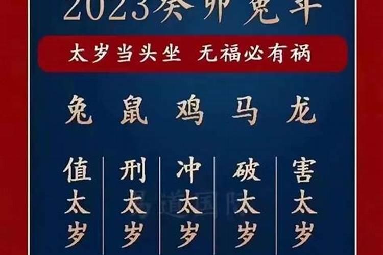 2023年鼠人运势运程1984年的鼠