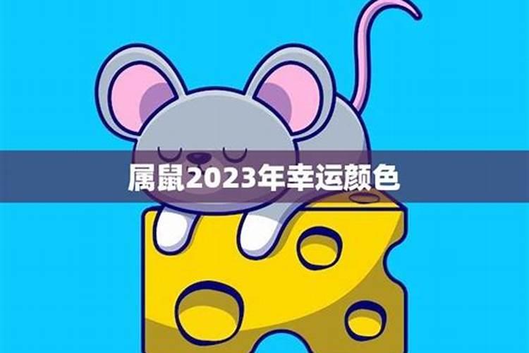 2023属鼠适合什么颜色