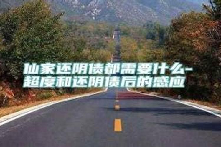 属猪的2023年运势和财运怎么样83