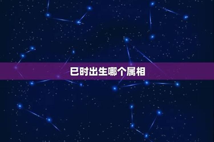 阳历腊月初八星座