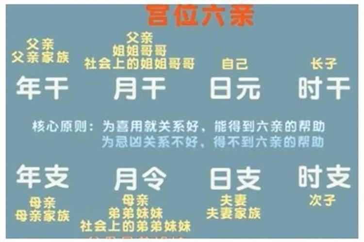 八字的月柱代表什么