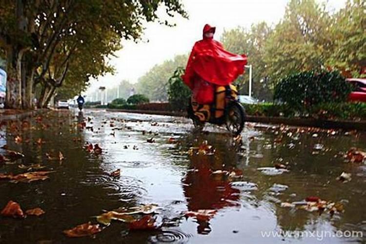 梦见下大雨淋着雨跑