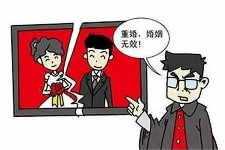 梦见放生乌龟又回来了