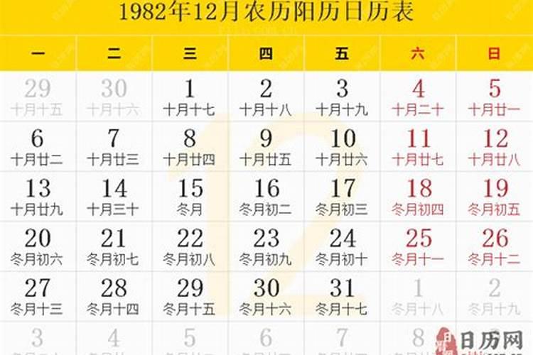 农历1982年12月26日出生是什么命格