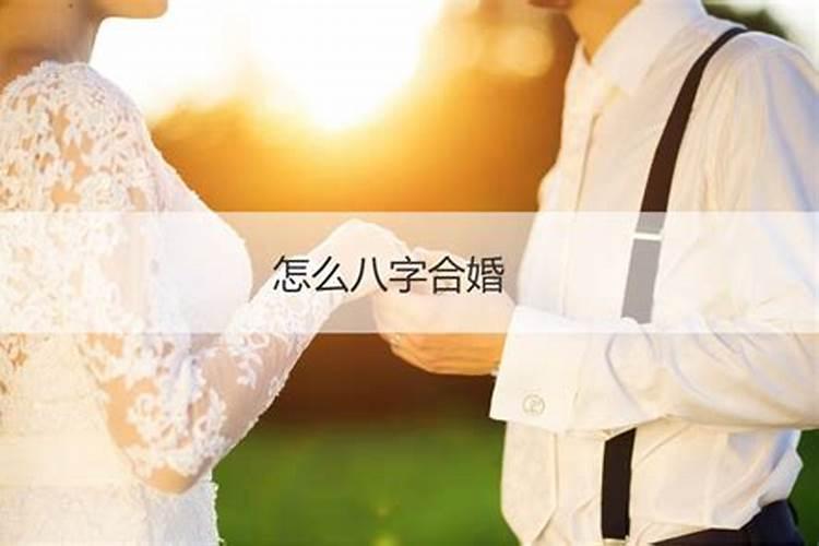 男女合婚什么意思啊知乎