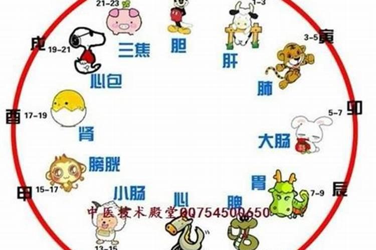 重阳节几点生的宝宝好呢