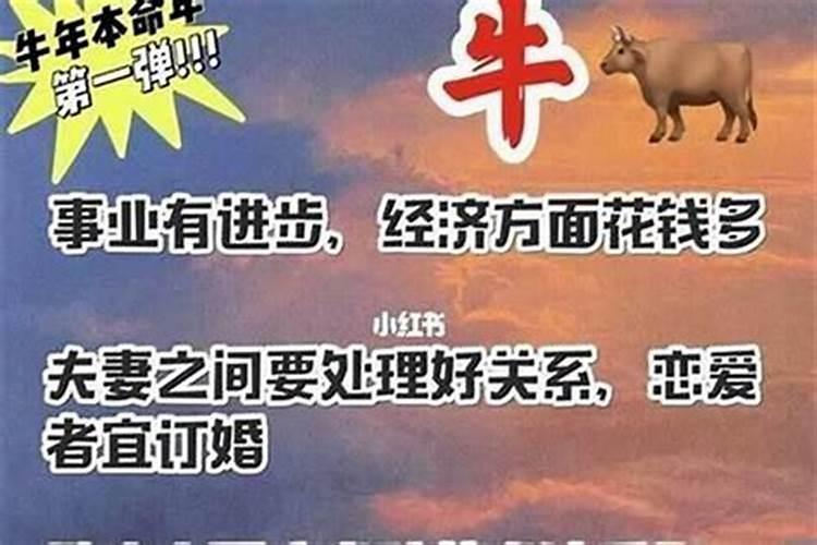 本命年运气不太好?