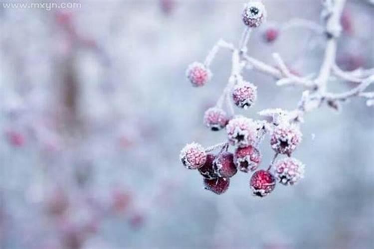 已婚女人梦见飘雪花