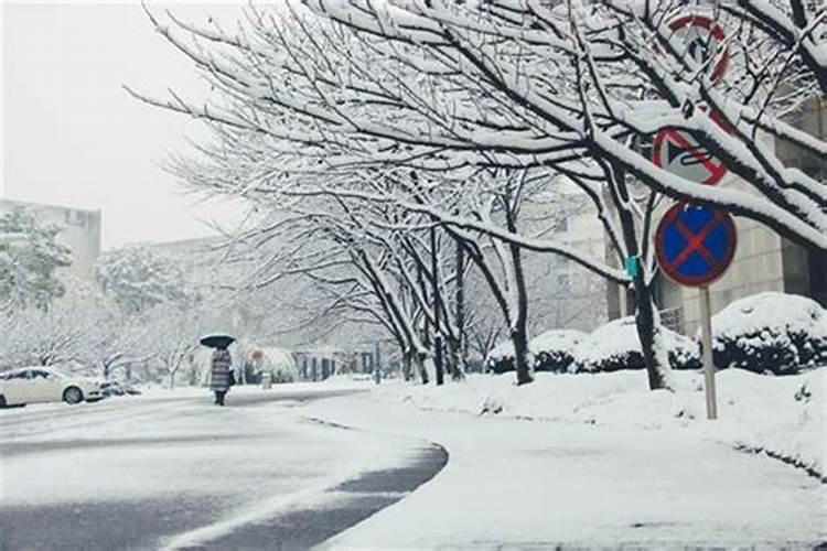 梦见下雪了雪花飘飘